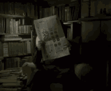 Snape Newspaper GIF - Snape Newspaper GIFs