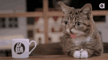 Winking Coffee GIF - Winking Coffee Cats GIFs