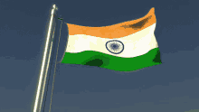 India Flag GIF - India Flag Flag Waver GIFs
