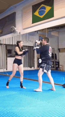 Kickboxing Muay Thai GIF