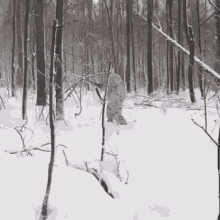 Boar The Hunter Snow GIF - Boar The Hunter Snow Slow Walking GIFs