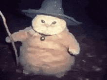a stuffed cat wearing a wizard hat and holding a wand .
