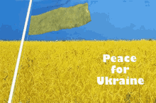 Ukraine Peace For Ukraine GIF - Ukraine Peace For Ukraine Flag GIFs