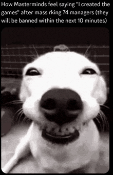 a black and white photo of a smiling dog with the caption " how masterminds feel saying "