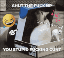 a cat in a box with the words shut the fuck up you stupid fucking cunt