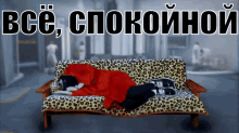 big russian boss sleeping spokojnoj spa good night