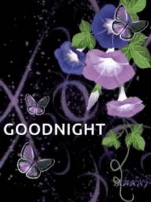 Goodnight Nite GIF - Goodnight Good Night GIFs