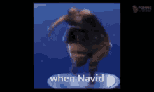 Navid GIF - Navid GIFs