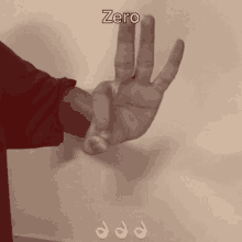 Hand Zero GIF - Hand Zero Zero9 GIFs