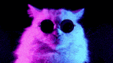 a pink and blue cat wearing sunglasses on a black background .