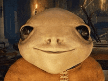 a close up of a frog 's face with large eyes