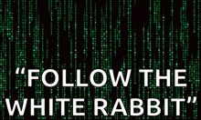 a poster that says follow the white rabbit on it