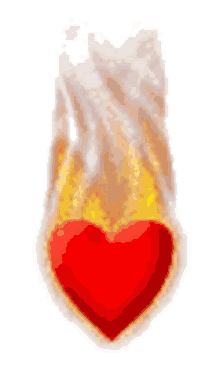 heart on fire flames burning heart heart burning hot love