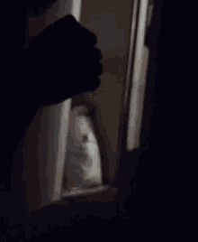 a person is opening a door to a closet with a bag that says ' unanswerable '