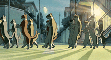 a bunch of cats are walking down a street