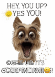 a picture of a dog with its mouth open and the words hey you up