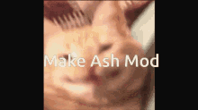 Cat Ash22 GIF - Cat Ash22 Make Ash Mod GIFs