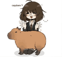 capybara coconut doggy oh my gosh capy capybara ok i pull up