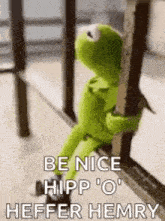 kermit the frog is sitting on a railing holding onto a railing and saying `` be nice hipp o '' .
