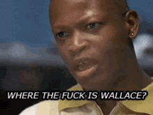 Where Is Wallace!?!? GIF