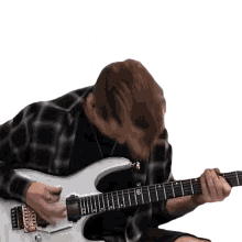 guitarist guitar