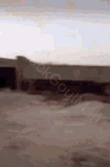 GIF