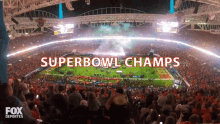 Super Bowl Champions Fox Deportes GIF - Super Bowl Champions Super Bowl Fox Deportes GIFs