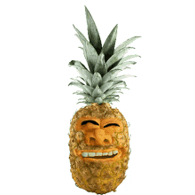 pineapple hawaii aloha laugh laughing