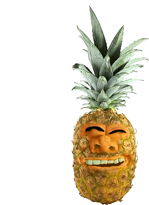 Pineapple Hawaii Sticker - Pineapple Hawaii Aloha Stickers