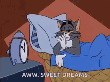 Lullaby Tom And Jerry GIF
