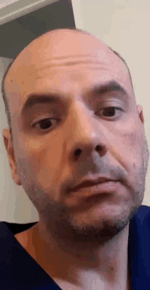 a bald man with a beard looks at the camera with a serious look on his face