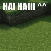 a screenshot of a video game with the words hai hai iii aa