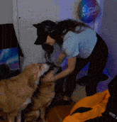 a woman petting a dog in front of a balloon that says congratulations