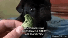 Pugs Eating Broccoli GIF - Pugs Eating Broccoli Good Morning GIFs