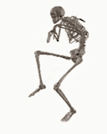 Skelett GIF - Skelett GIFs