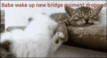 Karluu Bridge Moment GIF - Karluu Bridge Moment GIFs
