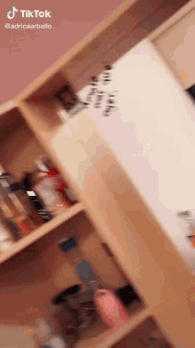 a person is standing in a room with a lot of shelves and a pink wall behind them .