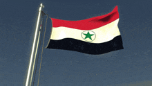 a red white and black flag with a green star in the middle