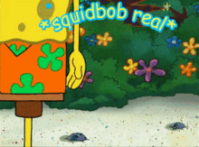 Squidbob GIF