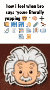 a cartoon of albert einstein with the words how i feel when bro says you 're literally yapping