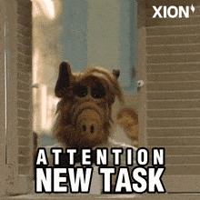 New Task Attention GIF - New Task Attention Crypto GIFs
