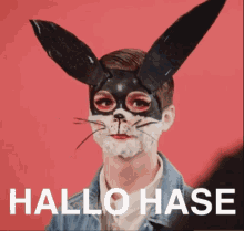 Hallo Hase Cute GIF - Hallo Hase Cute Bunny GIFs
