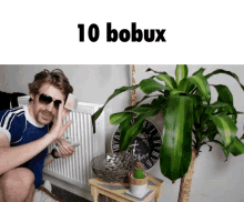 Bobux Robux GIF - Bobux Robux 3kliksphilip GIFs