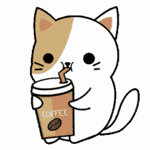 coffee is