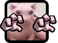 a hairless cat is being held in a person 's hands with a cartoon hand behind it