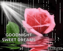goodnight sweet dreams sparkles flower