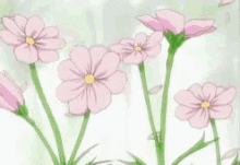 a bunch of pink flowers with green stems against a white background