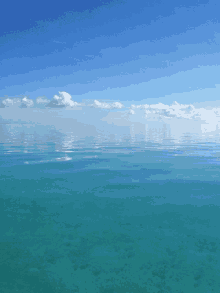 Sea Beach GIF