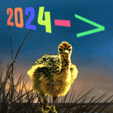 2024 Meme Baby Ostrich Meme GIF