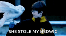 Hedwig Harrypotter GIF - Hedwig Harrypotter GIFs